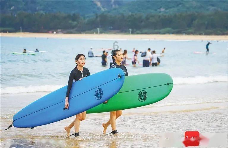 虫情测报器：农民的宝贵助手