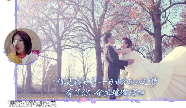 救援菠萝舞者