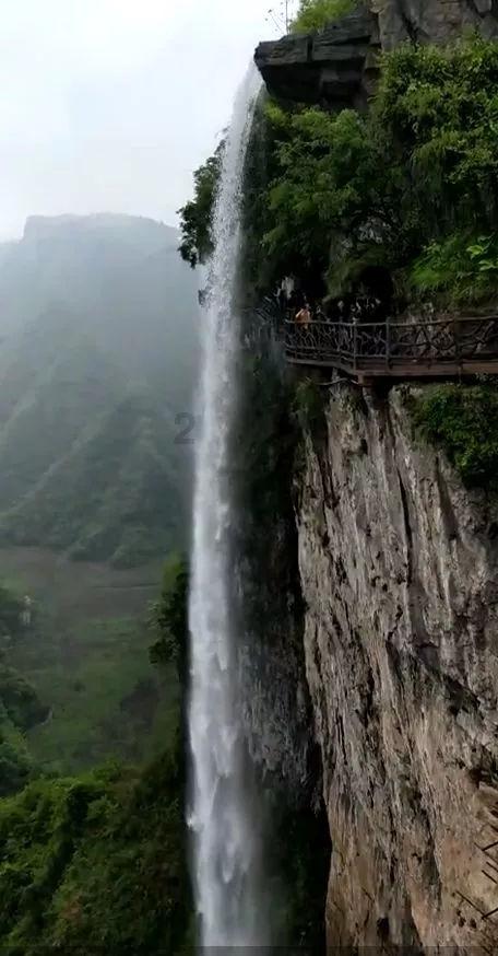 虫虫助手下载